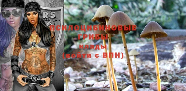 дмт Ладушкин