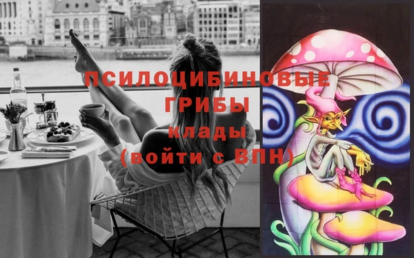 дмт Ладушкин