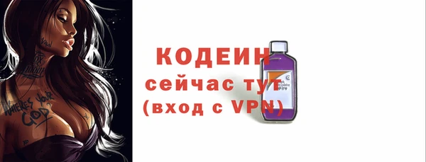 дмт Ладушкин