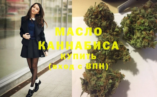 дмт Ладушкин