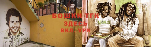 дмт Ладушкин