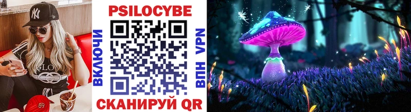 Купить где  Магадан  Галлюциногенные грибы MAGIC MUSHROOMS 