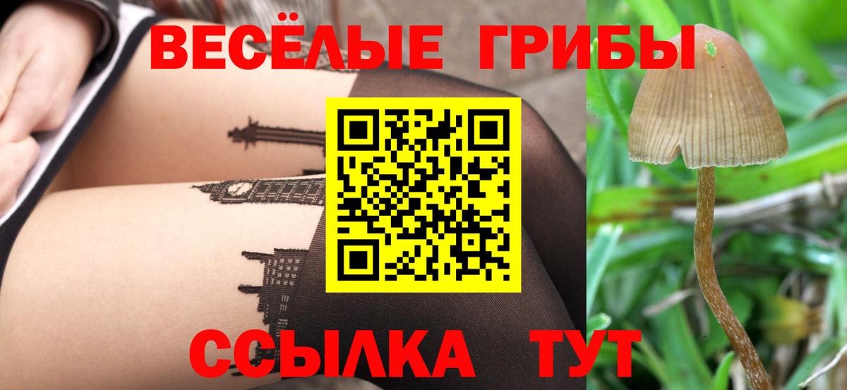 Галлюциногенные грибы GOLDEN TEACHER  где найти наркотики  Магадан  Галлюциногенные грибы мицелий 