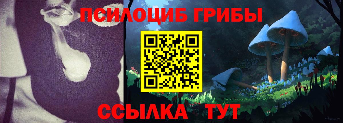Псилоцибиновые грибы прущие грибы Магадан
