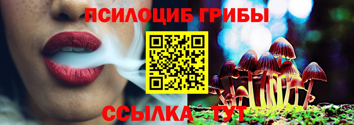 Галлюциногенные грибы ЛСД Магадан