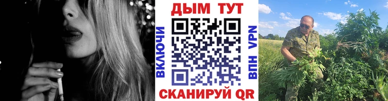 Купить где  Магадан  Бошки Шишки план 