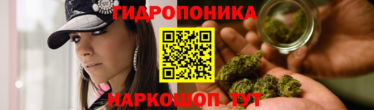 Магадан  МАРИХУАНА конопля  Каннабис план  Вход с VPN 