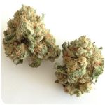 Шишки "White Widow"  (Белая вдова)  Гидропоника -  Бошка VHQ в Магадане